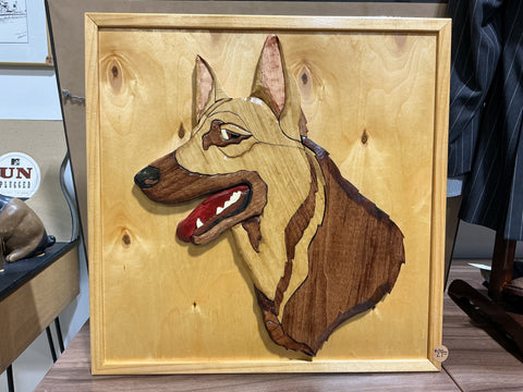 “Who’s a G’boy?”German Shepherd