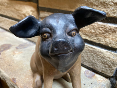 Ceramic Pig(gy) Bank