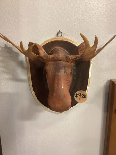 Mini Moose Head