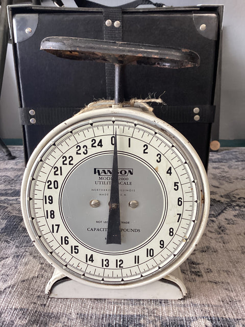 Vintage Kitchen Scale